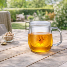Charger l'image dans la galerie, Mug à infusion en verre avec filtre en verre 550ml