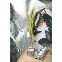 Charger l'image dans la galerie, Vase conique transparent et argent h22cm
