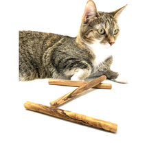 Charger l'image dans la galerie, Os à mâcher en bois d'olivier pour petit chien ou chat (lot de 3)