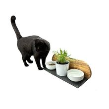 Charger l'image dans la galerie, Station d'alimentation MOUNTAIN 2x bols en porcelaine de 0,4 litre plus pot pour herbe à chat en bois d'olivier
