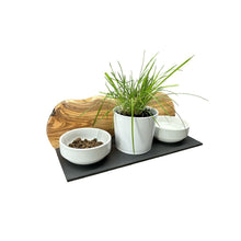 Charger l'image dans la galerie, Station d'alimentation MOUNTAIN 2x bols en porcelaine de 0,4 litre plus pot pour herbe à chat en bois d'olivier
