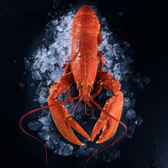 Homard canadien À commander 24h avant